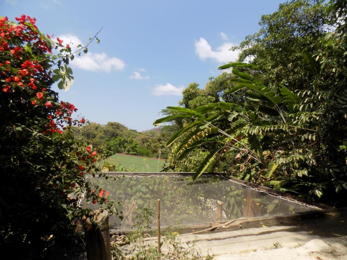 Colibri Hostal Minca Dış mekan fotoğraf