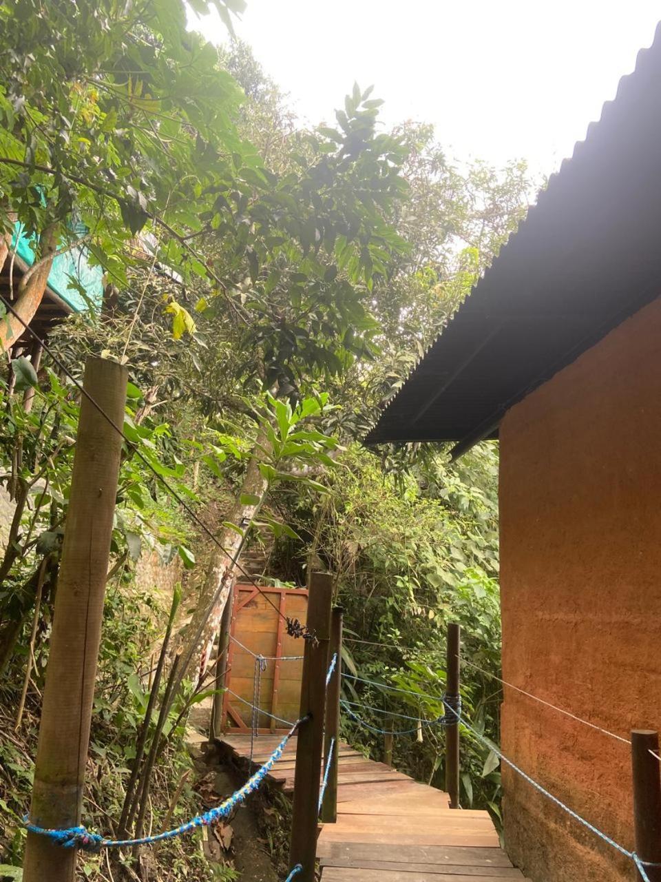 Colibri Hostal Minca Oda fotoğraf